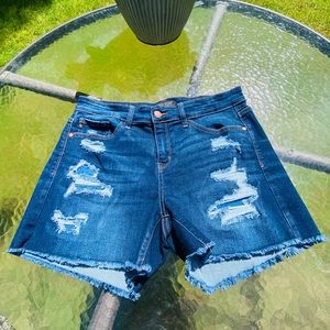 Judy Blue High Rise Distressed Shorts